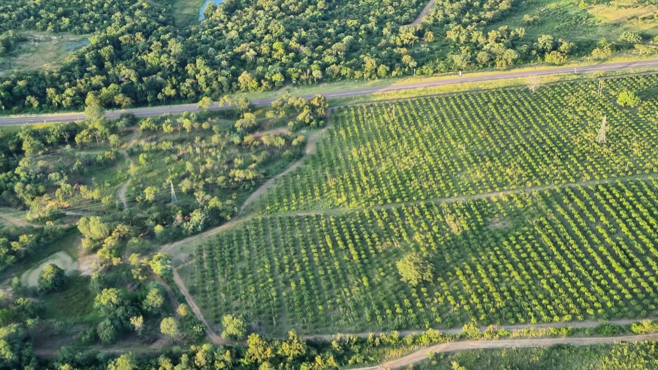 Mixed use farm for sale in Tzaneen Rural - 1TA1602005