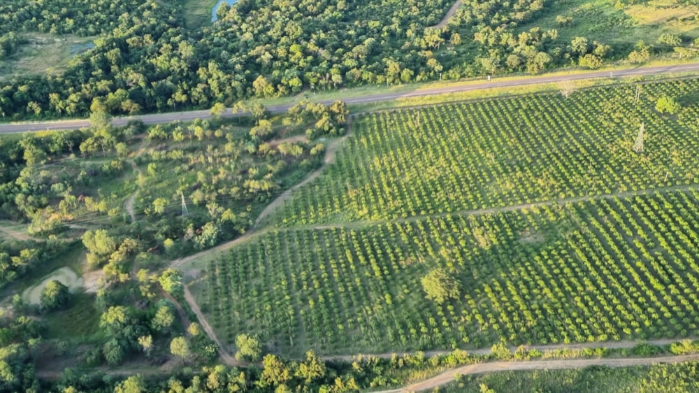 Mixed use farm for sale in Tzaneen Rural - 1TA1602005