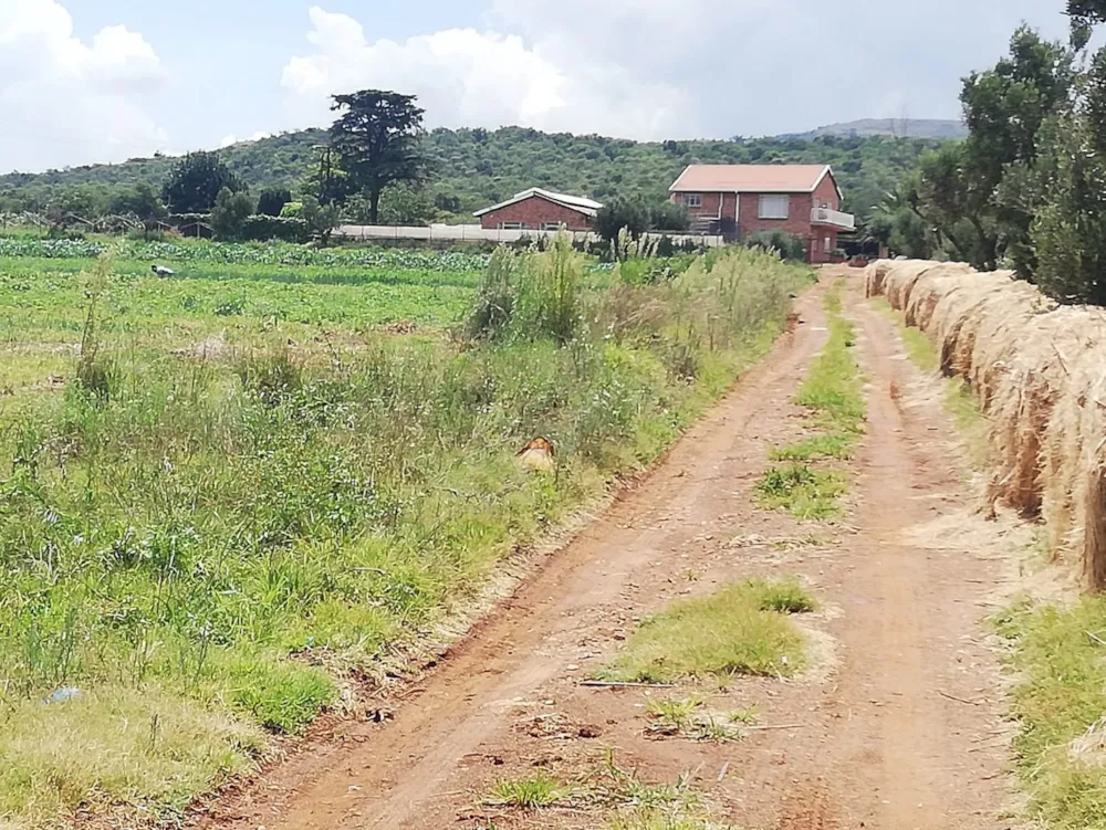 Mixed use farm for sale in Randvaal - 1VT1602359