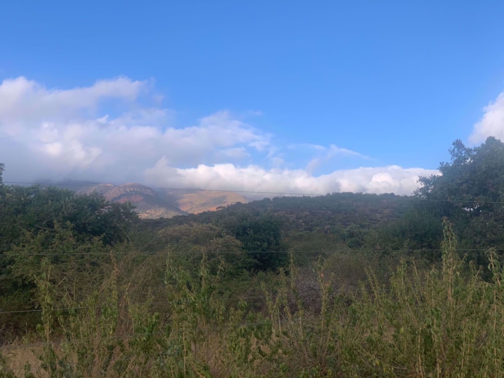 Farm vacant land for sale in Haenertsburg - 1PS1602718 Farm vacant land for sale in Haenertsburg - 1PS1602718