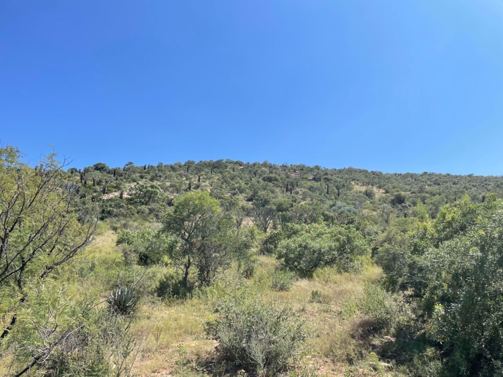 Farm vacant land for sale in Haenertsburg - 1PS1602718 Farm vacant land for sale in Haenertsburg - 1PS1602718