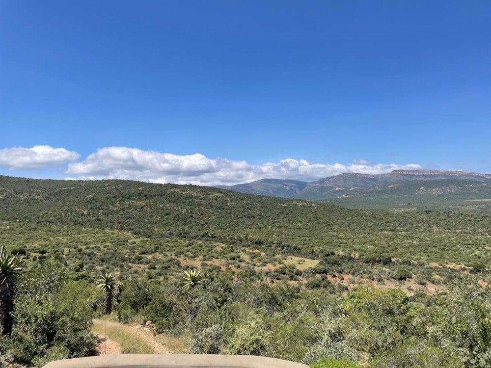 Farm vacant land for sale in Haenertsburg - 1PS1602718 Farm vacant land for sale in Haenertsburg - 1PS1602718