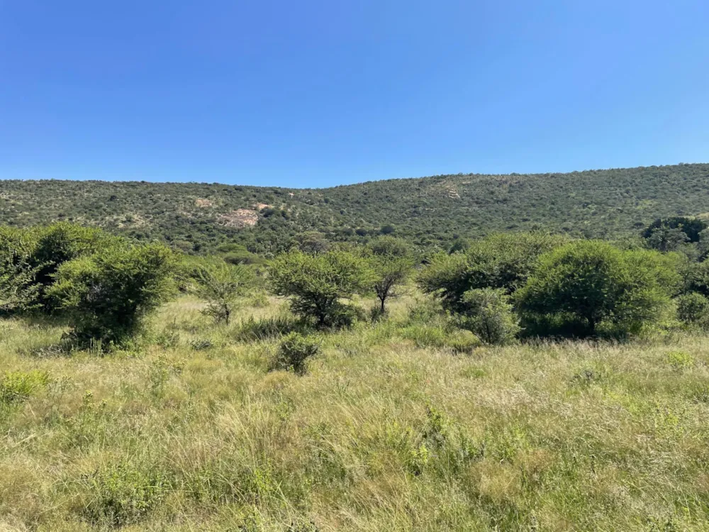 Farm vacant land for sale in Haenertsburg - 1PS1602718
