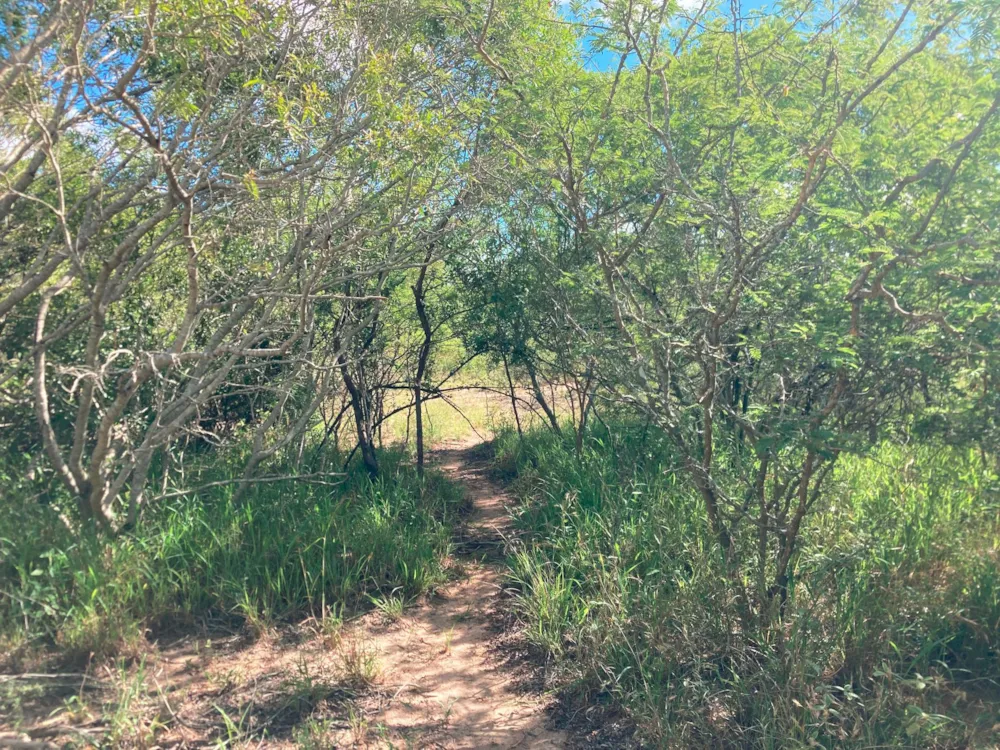 Vacant land for sale in Moditlo Nature Reserve - 1HS1639388