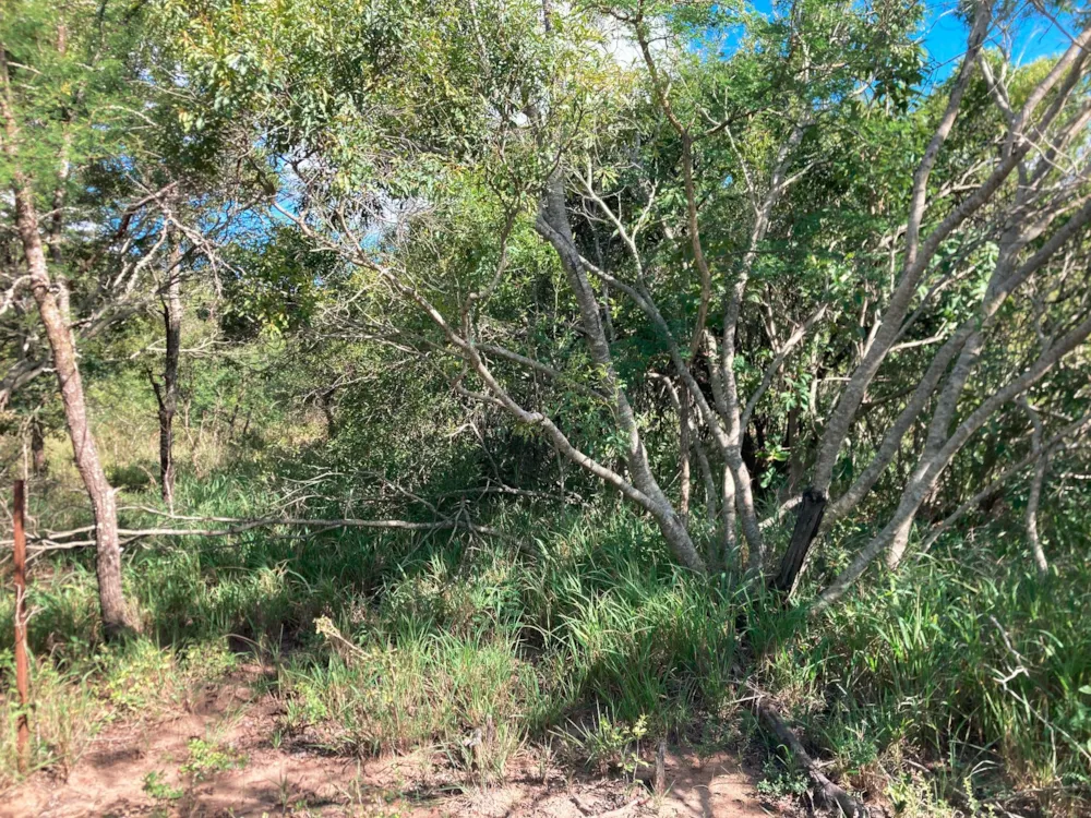 Vacant land for sale in Moditlo Nature Reserve - 1HS1639388