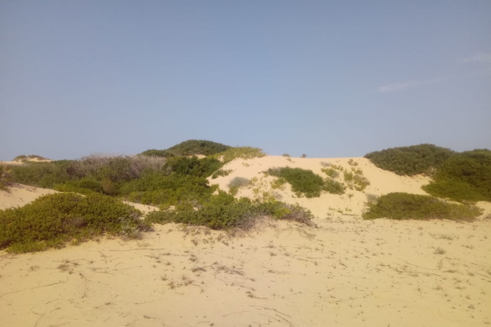 Vacant land for investment in Praia da Rocha, Mozambique - 3MQ1725436