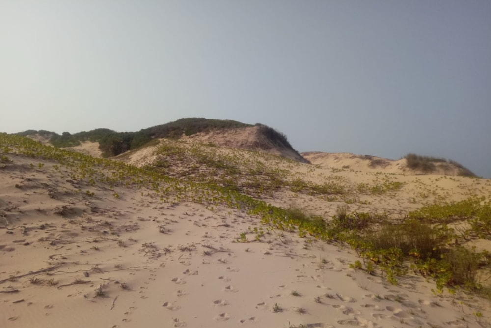 Vacant land for investment in Praia da Rocha, Mozambique - 3MQ1725436