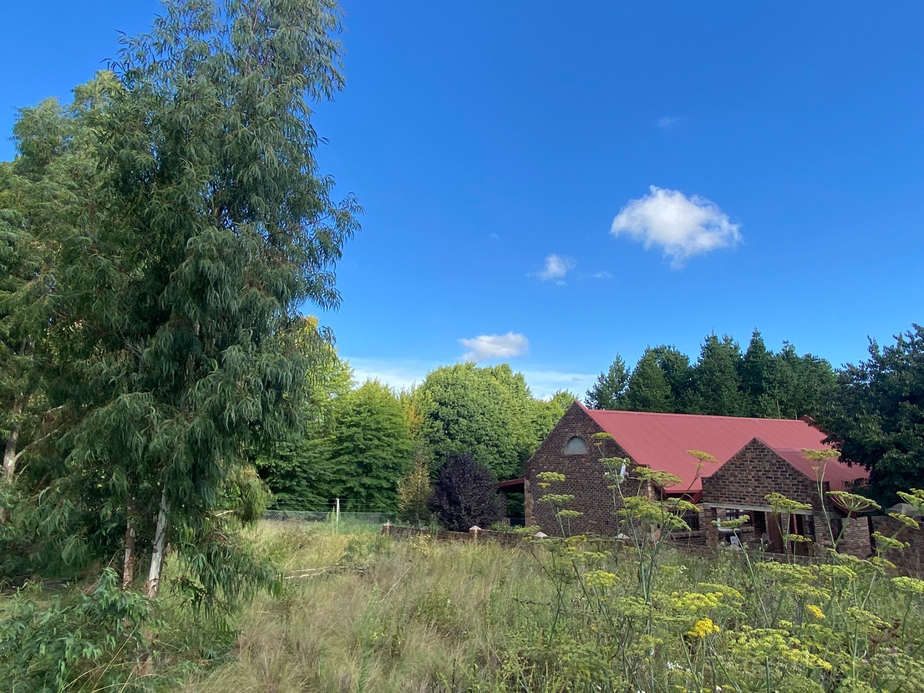 Vacant land for sale in Dullstroom - 1DS1676403