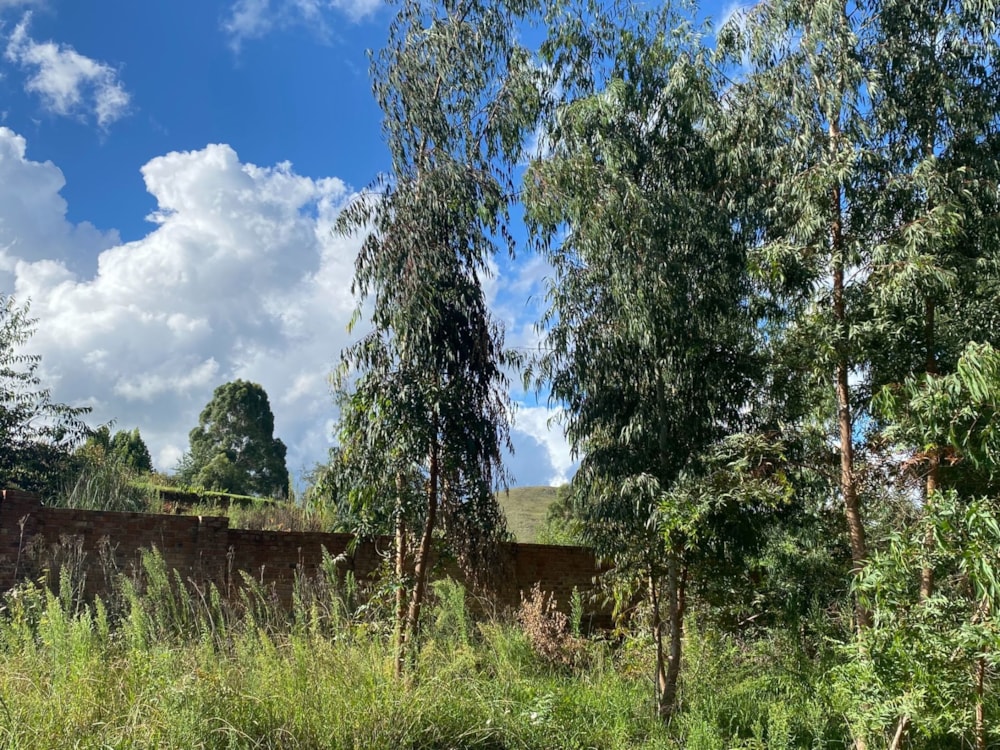 Vacant land for sale in Dullstroom - 1DS1676403 Vacant land for sale in Dullstroom - 1DS1676403