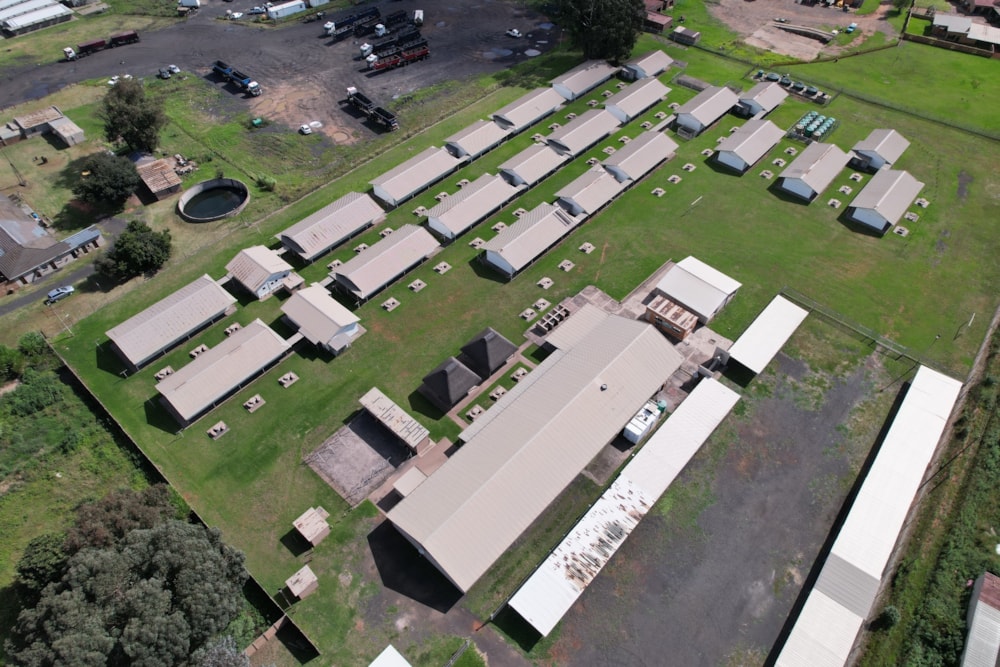 Commercial business for sale in Delmas - PRN1603226