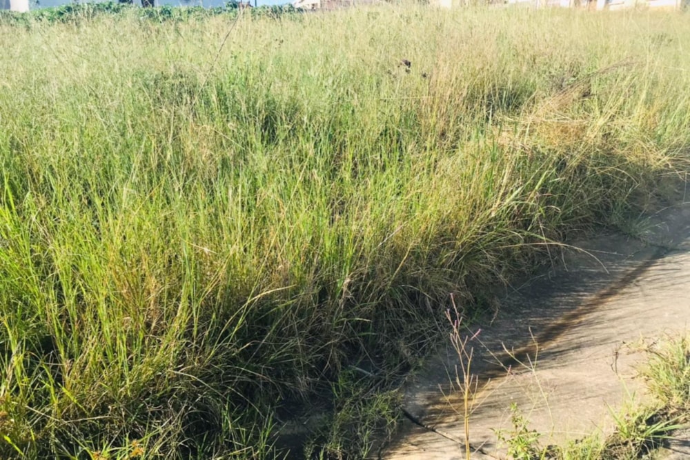 Vacant land for sale in Mthatha - 1MH1603251 Vacant land for sale in Mthatha - 1MH1603251