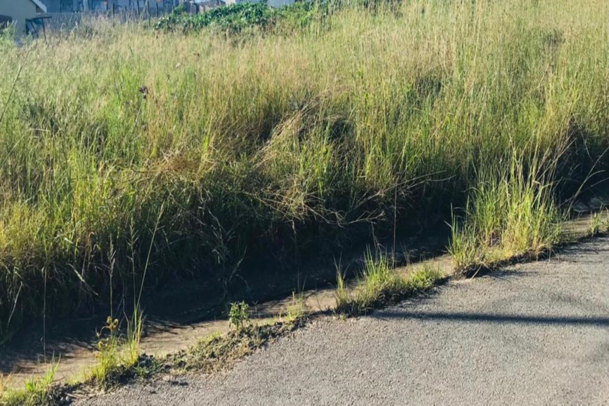 Vacant land for sale in Mthatha - 1MH1603251