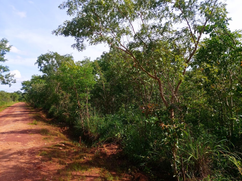 Vacant land for sale in Leopards Hill, Zambia - 3ZA1621811