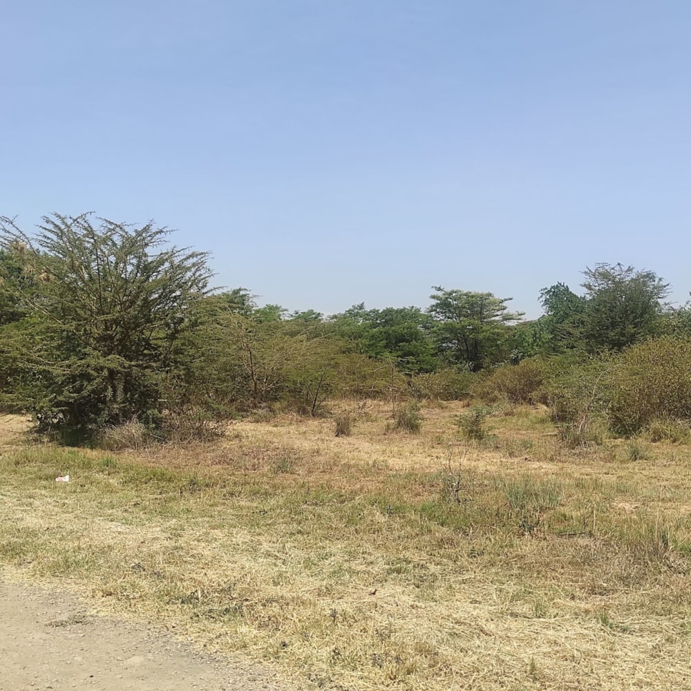 Commercial vacant land for sale in Ruiru , Kenya - 3KE1603396