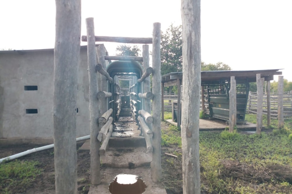 Livestock farm for sale in Inhassoro, Mozambique - 3MQ1603499