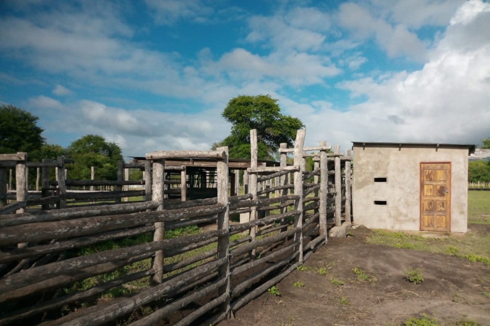 Livestock farm for sale in Inhassoro, Mozambique - 3MQ1603499
