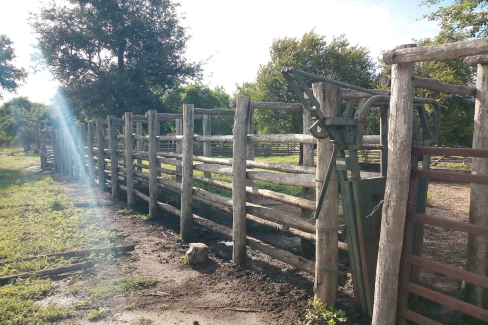 Livestock farm for sale in Inhassoro, Mozambique - 3MQ1603499