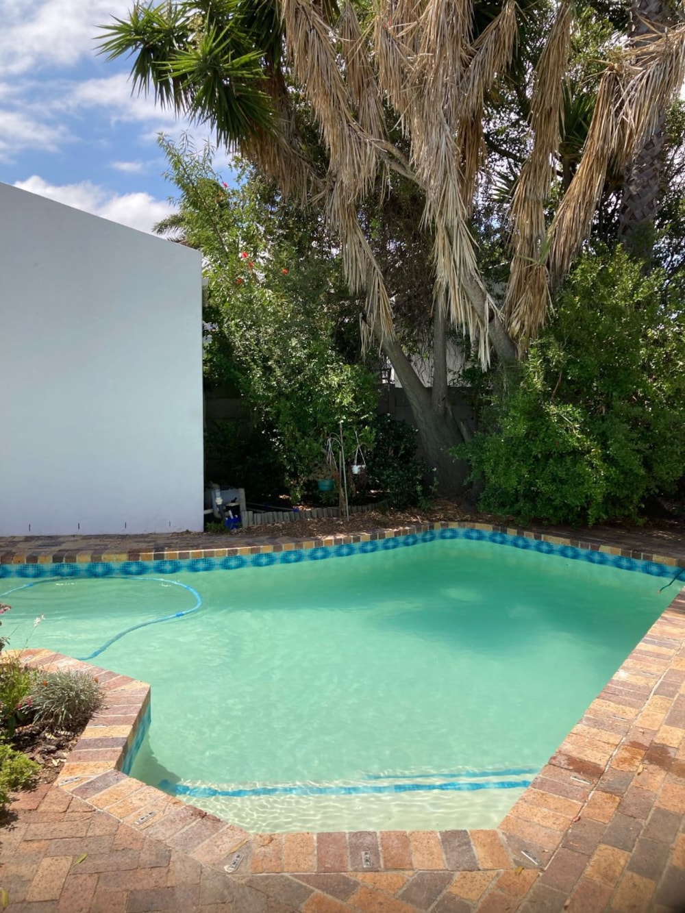 House let in Edgemead - 1PLA1709512 House let in Edgemead - 1PLA1709512