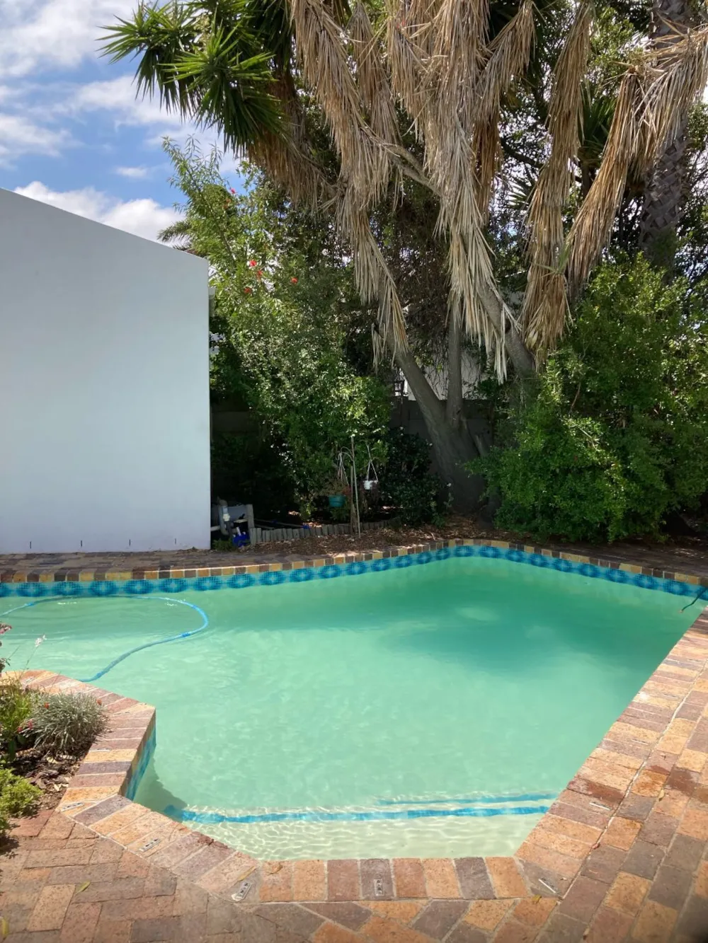 House let in Edgemead - 1PLA1727698 House let in Edgemead - 1PLA1727698