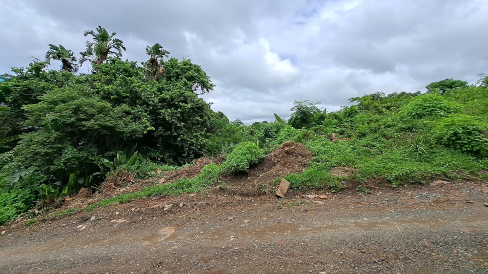 Vacant land for sale in Margate - 1PSH1687652