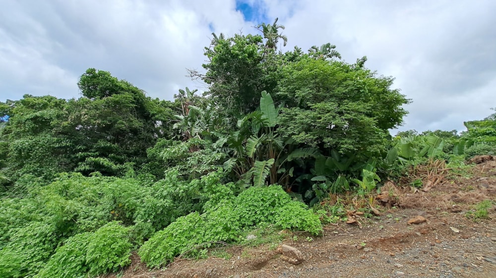 Vacant land for sale in Margate - 1PSH1687652