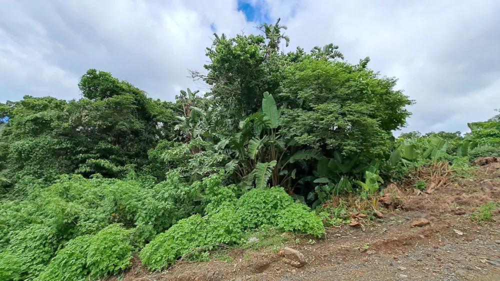 Vacant land for sale in Margate - 1PSH1687652 Vacant land for sale in Margate - 1PSH1687652