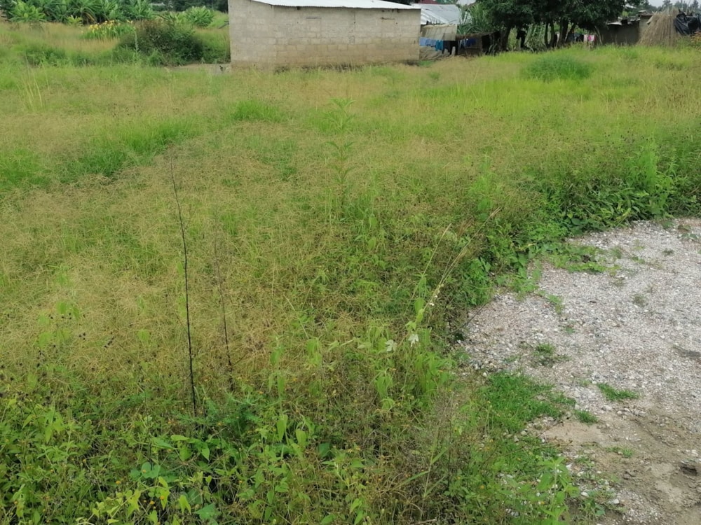 Vacant land for sale in Silverest, Zambia - 3ZA1603879