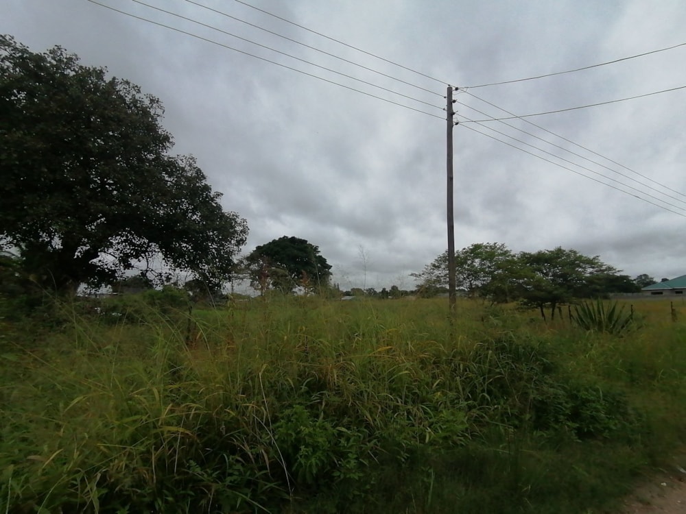 Vacant land for sale in Silverest, Zambia - 3ZA1603879
