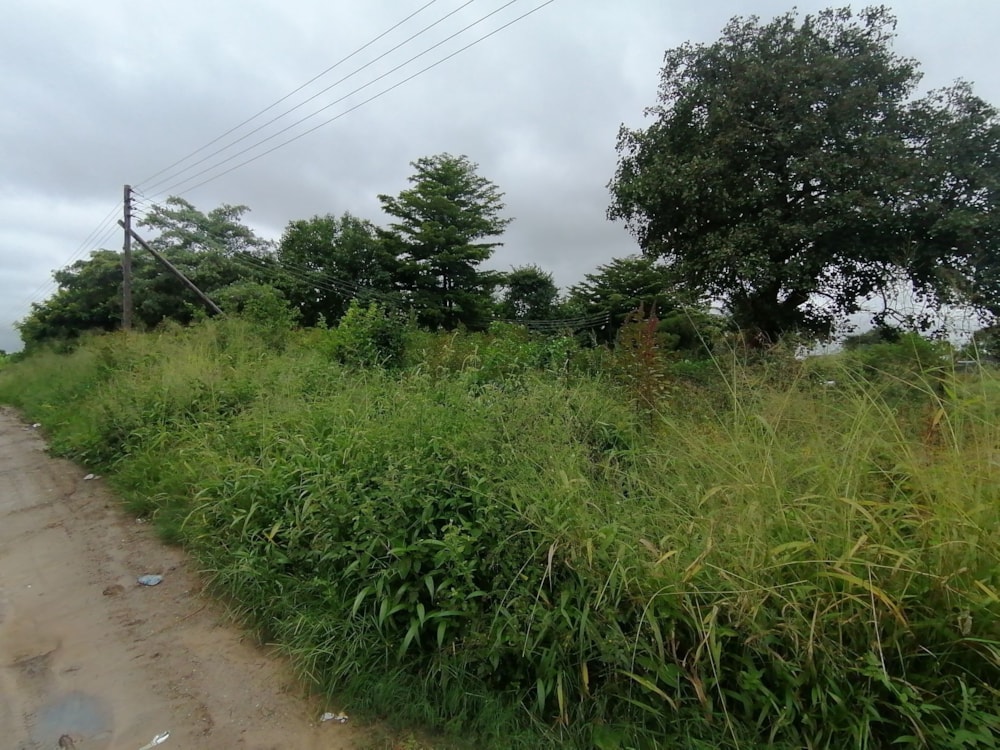 Vacant land for sale in Silverest, Zambia - 3ZA1603879