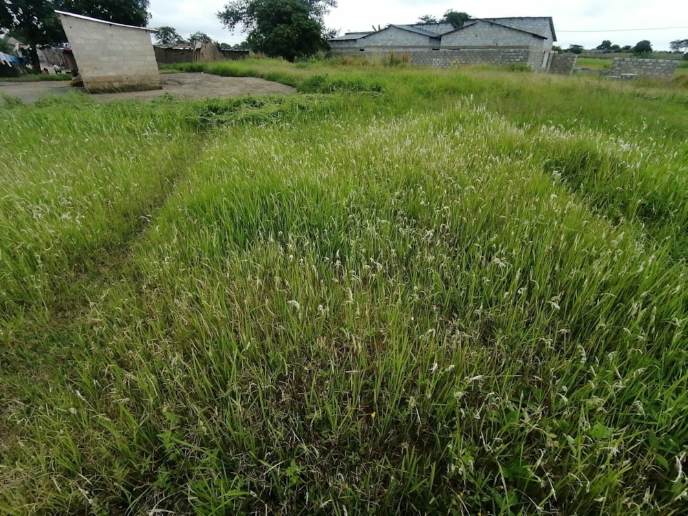 Vacant land for sale in Silverest, Zambia - 3ZA1603879