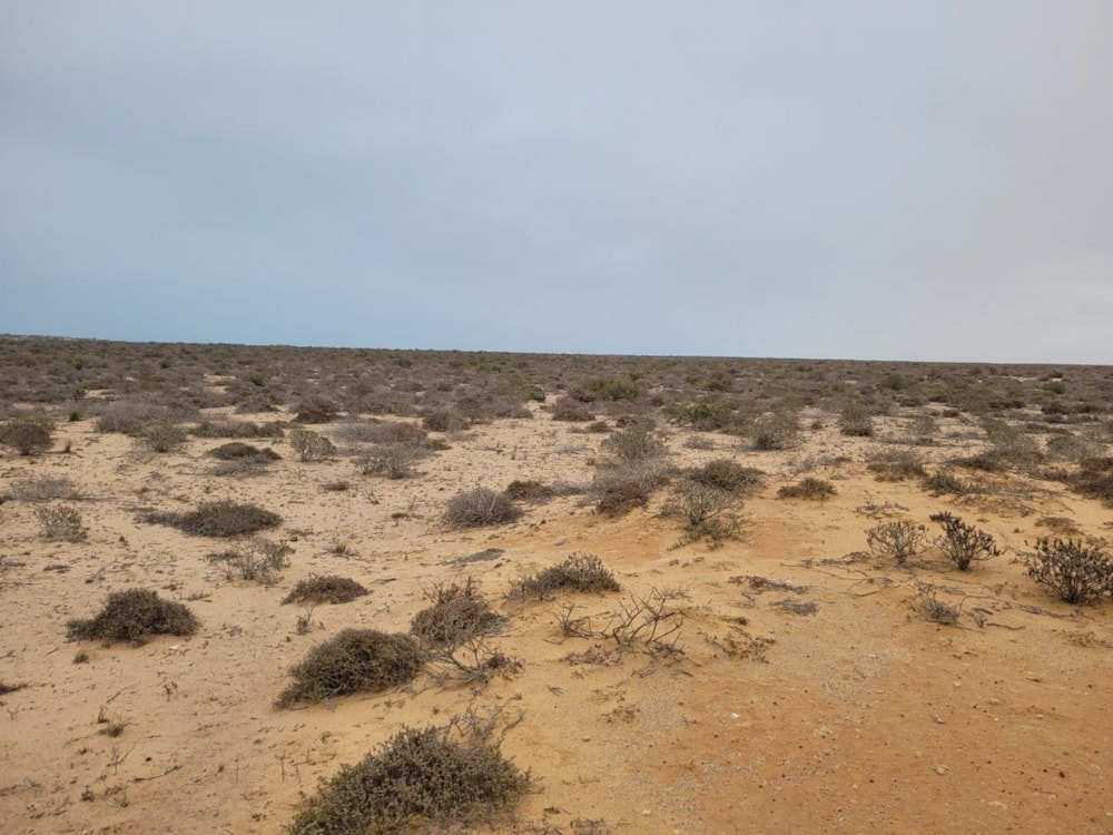 Vacant land for sale in Hondeklip Bay, Northern Cape - 1NA1604055 Vacant land for sale in Hondeklip Bay, Northern Cape - 1NA1604055