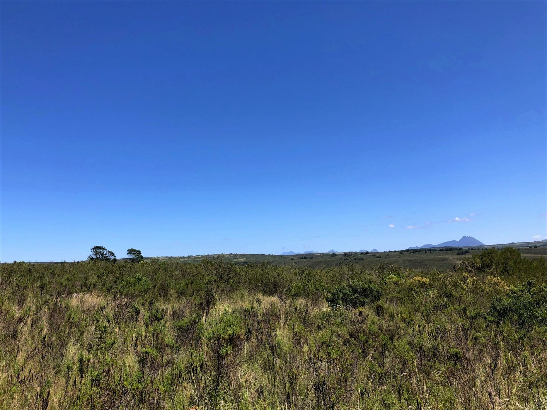 Residential vacant land sold in Gondwana Game Reserve - 1MB1677354