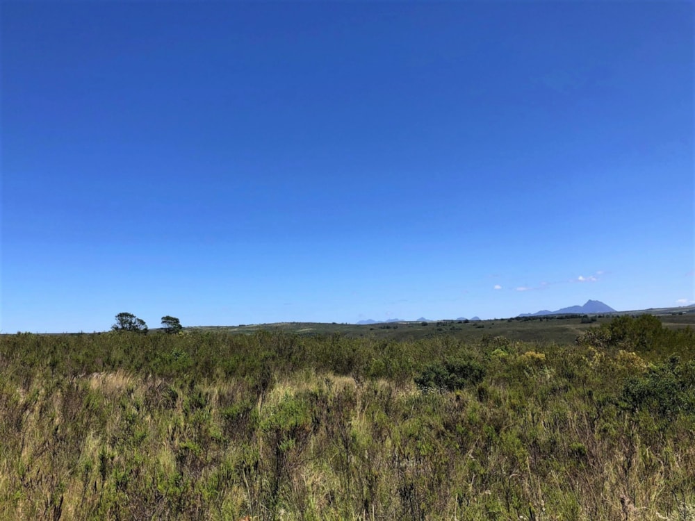 Residential vacant land sold in Gondwana Game Reserve - 1MB1677354 Residential vacant land sold in Gondwana Game Reserve - 1MB1677354