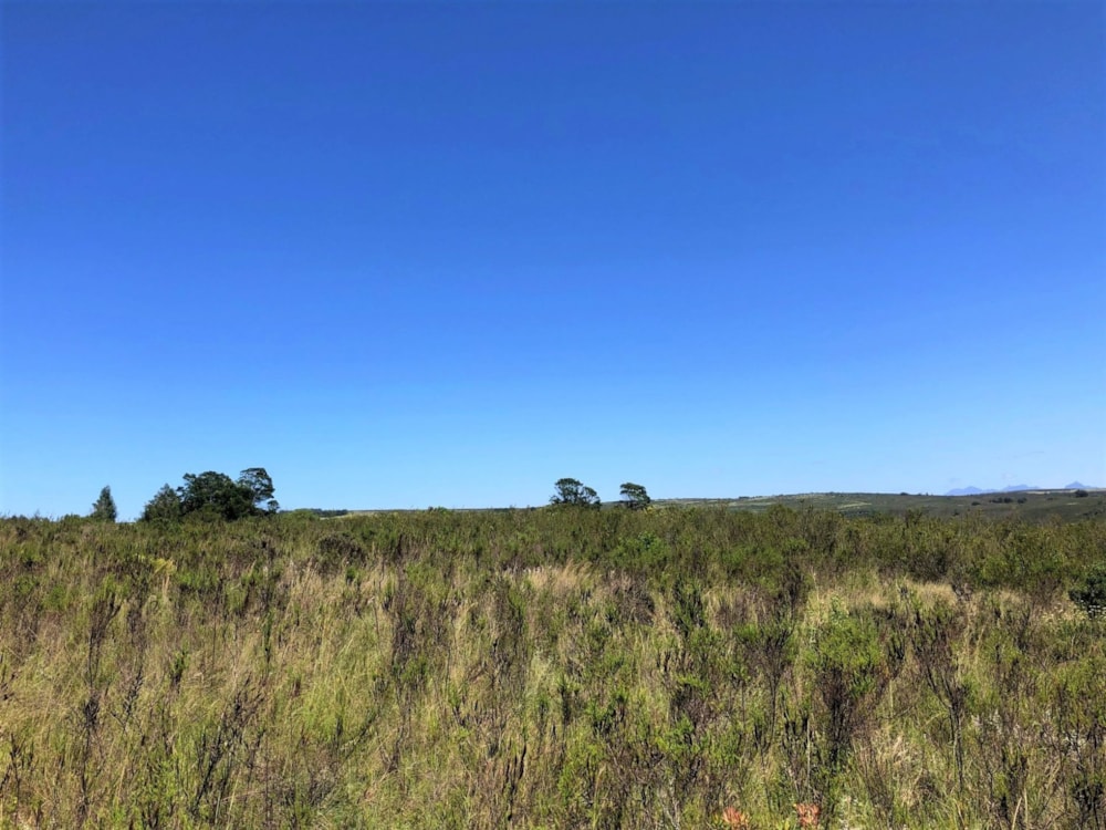 Residential vacant land sold in Gondwana Game Reserve - 1MB1677354 Residential vacant land sold in Gondwana Game Reserve - 1MB1677354