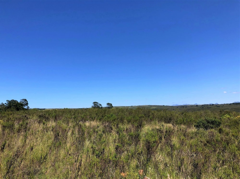 Residential vacant land sold in Gondwana Game Reserve - 1MB1677354 Residential vacant land sold in Gondwana Game Reserve - 1MB1677354