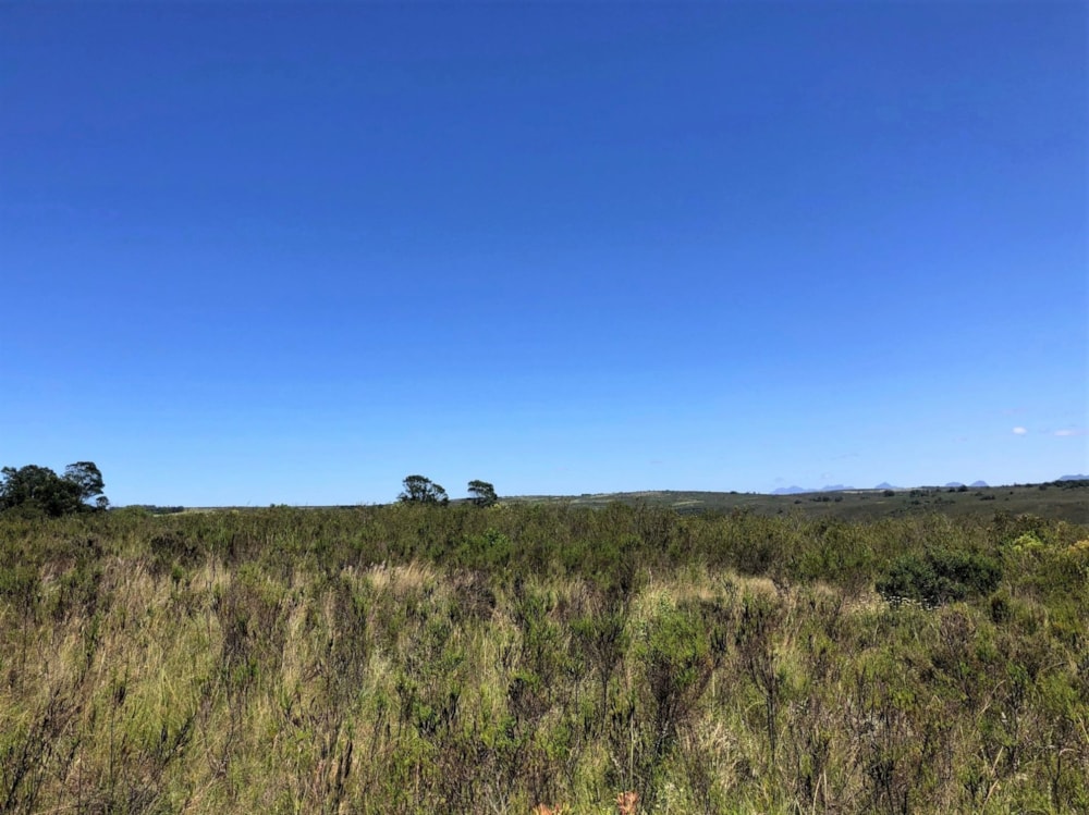 Residential vacant land sold in Gondwana Game Reserve - 1MB1677354 Residential vacant land sold in Gondwana Game Reserve - 1MB1677354