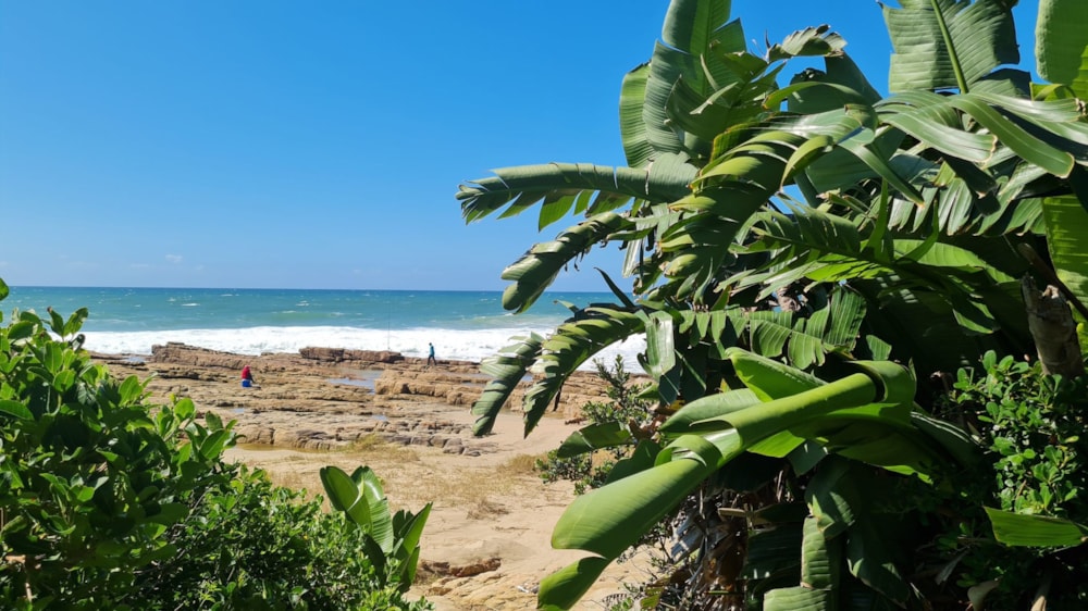 House for sale in Port Edward - 1PD1604565 House for sale in Port Edward - 1PD1604565