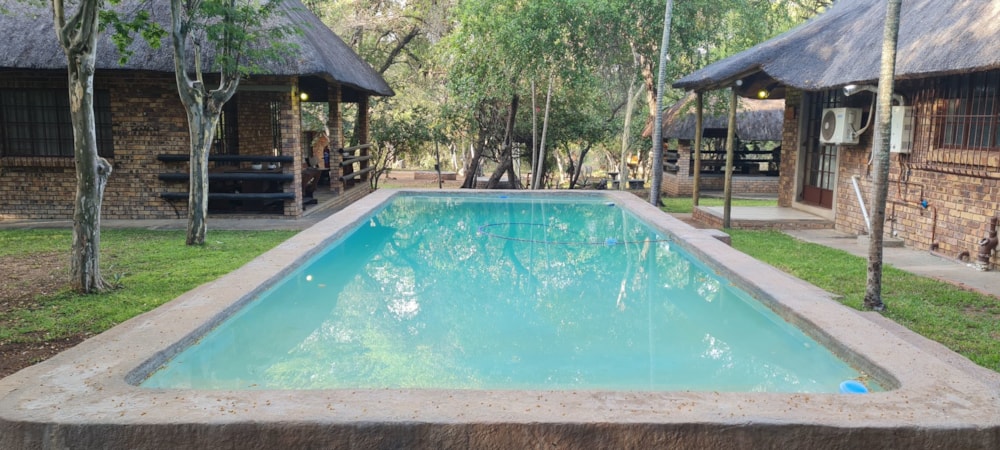 House to rent in Marloth Park - 1NK1590431 House to rent in Marloth Park - 1NK1590431