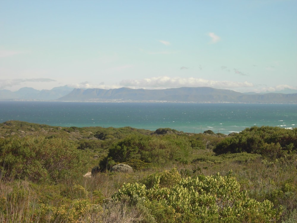 Residential vacant land for sale in De Kelders - 1SW1546514 Residential vacant land for sale in De Kelders - 1SW1546514