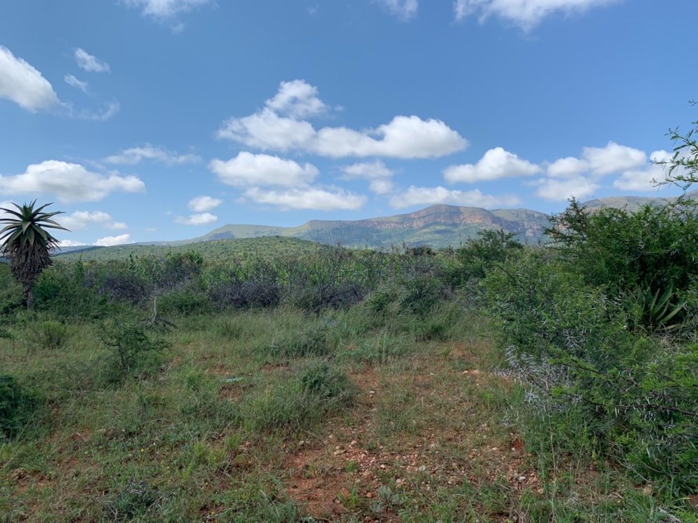Farm vacant land for sale in Haenertsburg - 1PS1602718