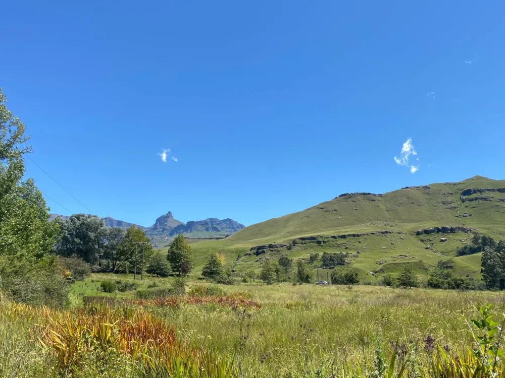 Smallholding sold in Underberg - 1UB1603055 Smallholding sold in Underberg - 1UB1603055