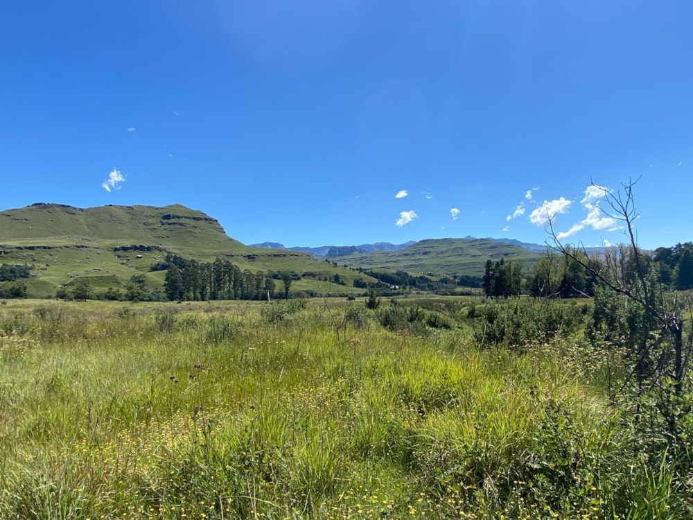 Smallholding for sale in Underberg - 1UB1603055 Smallholding for sale in Underberg - 1UB1603055