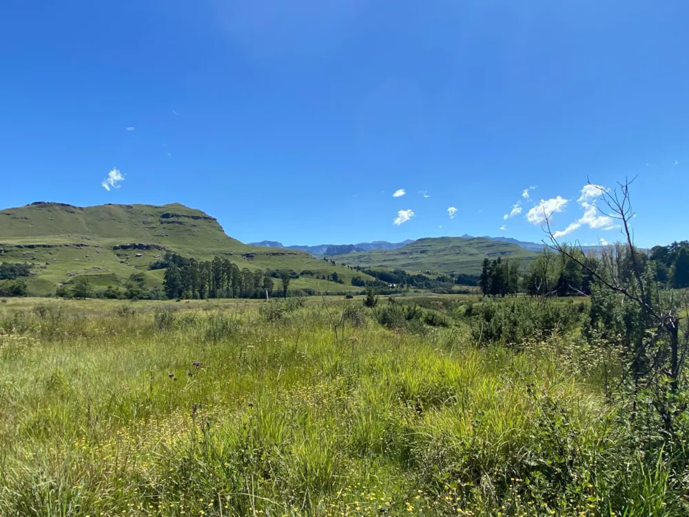 Smallholding sold in Underberg - 1UB1603055 Smallholding sold in Underberg - 1UB1603055