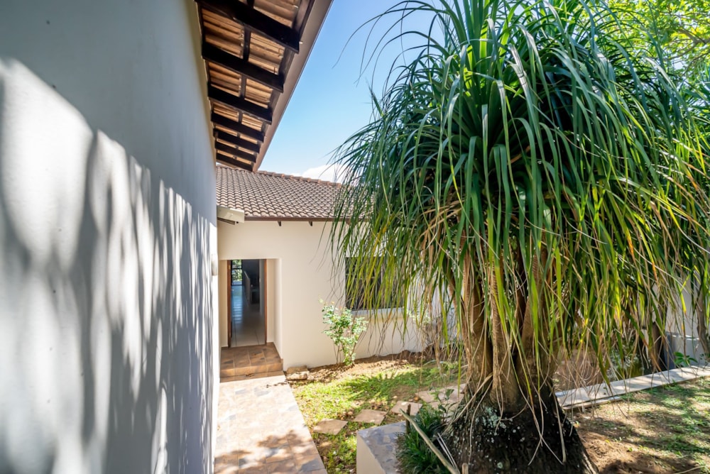 House for sale in Shelly Beach - 1PX1605626