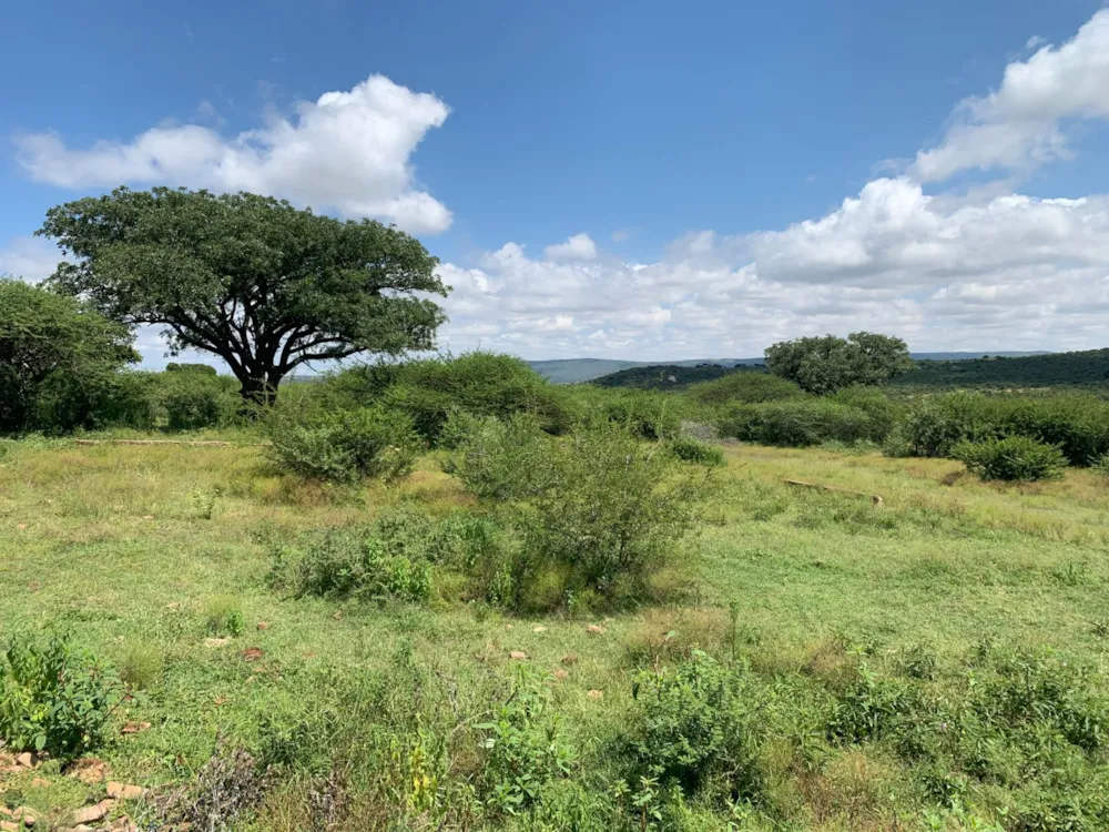Farm vacant land for sale in Haenertsburg - 1PS1606324