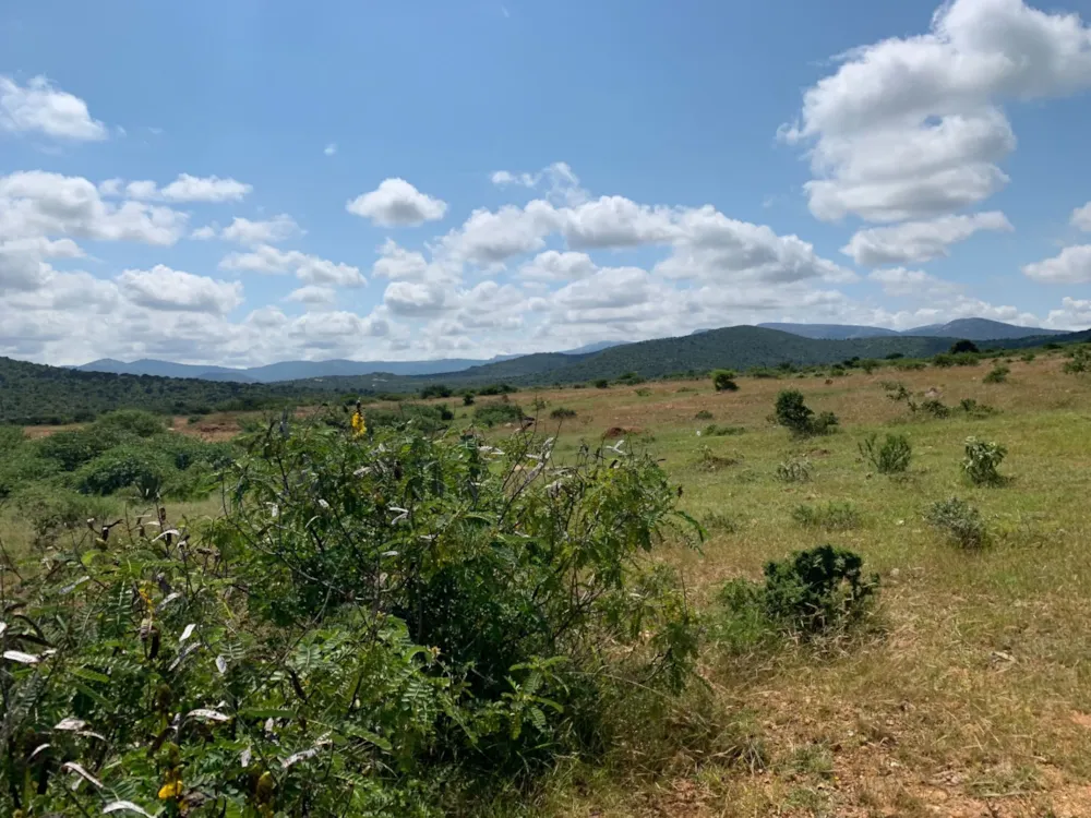 Farm vacant land for sale in Haenertsburg - 1PS1606324