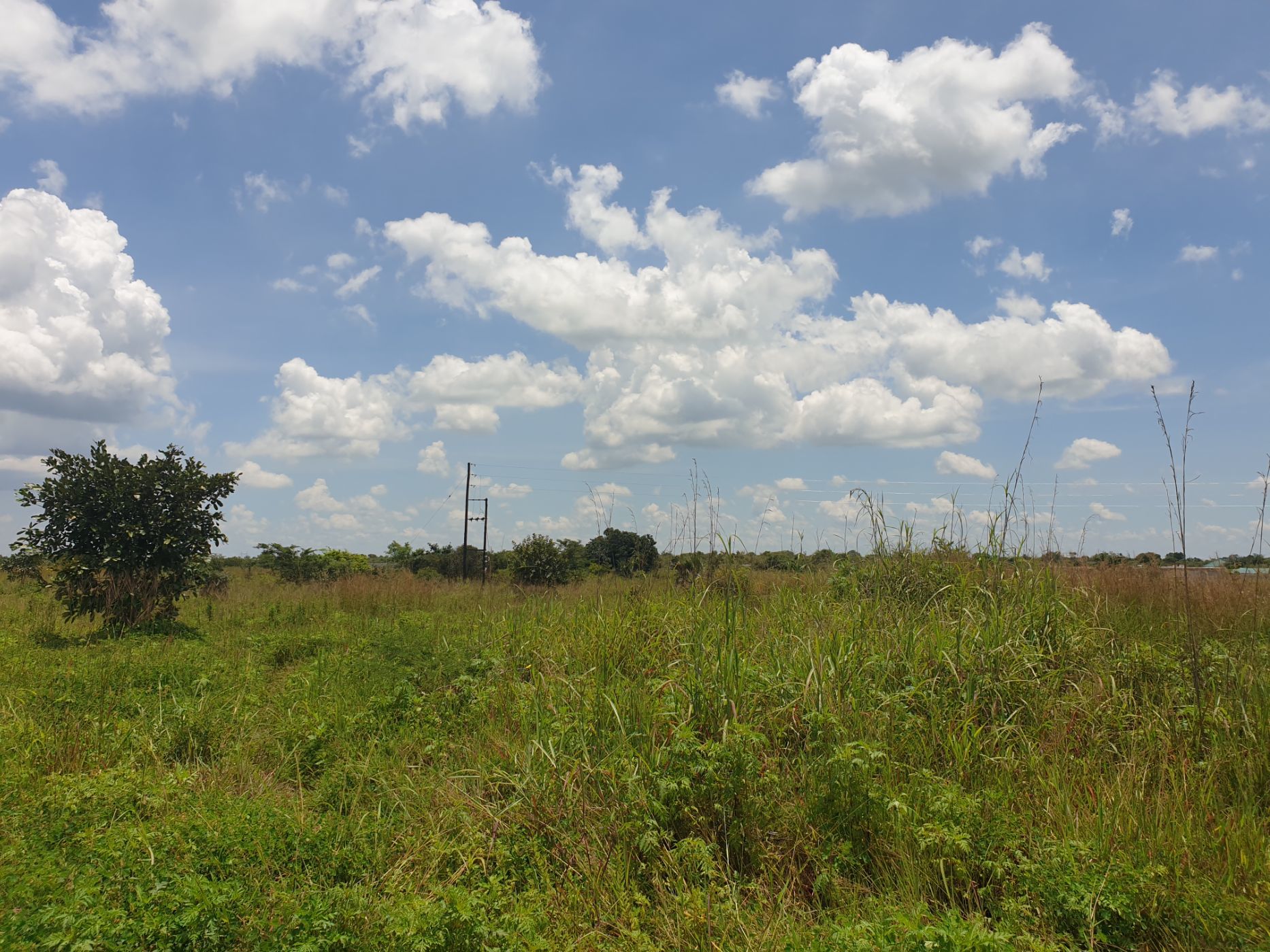Vacant land for sale in Palabana, Zambia - 3ZA1606039