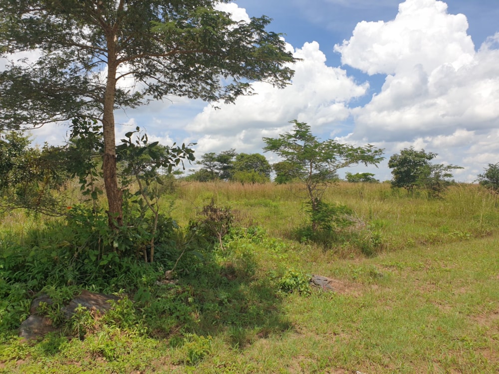 Vacant land for sale in Palabana, Zambia - 3ZA1606039