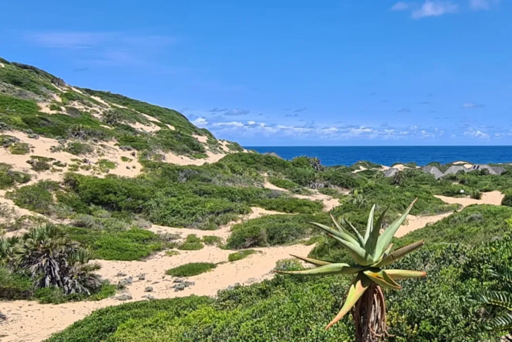 Beach bungalow for sale in Dongane, Mozambique - 3MQ1606319
