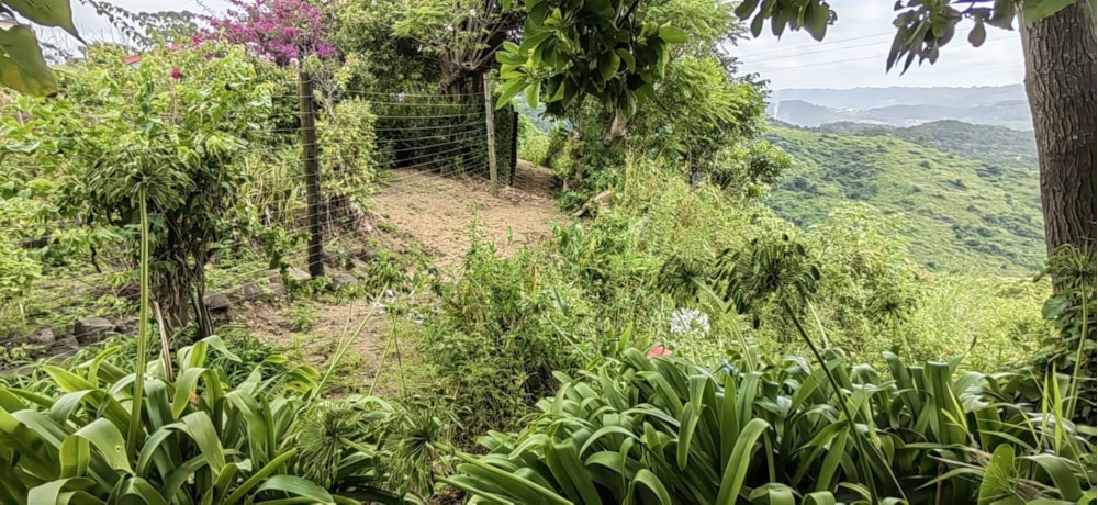 Lifestyle property for sale in Paddock/Oribi Flats - 1PX1606355